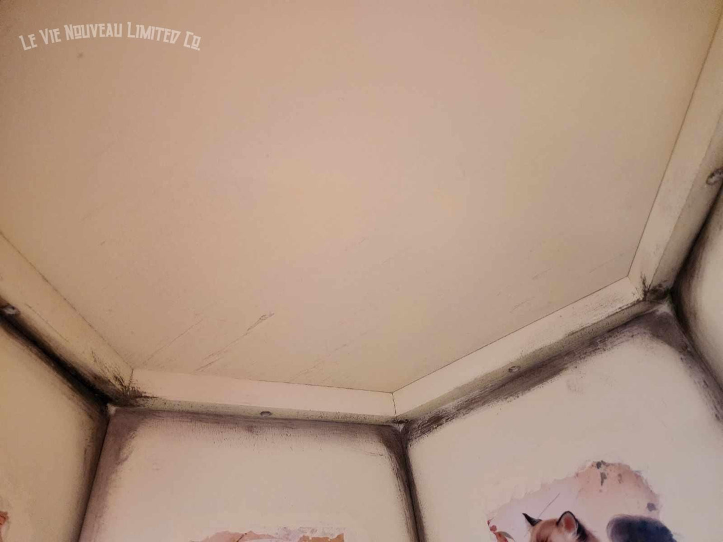 Custom Order Option: Beautiful Siamese Cat Bed, Cat House, Pet Crate, Cat Lover Gift, End Table, Vintage 70s Hexagon Japanese Art Retro